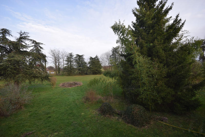 Viager - Maison ancienne - 242 m² - 10 pièces