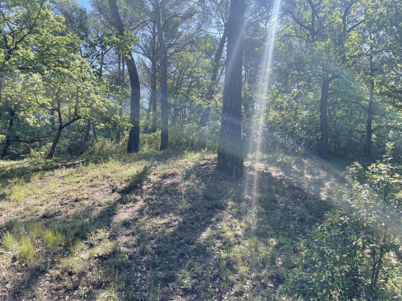 Terrain constructible - 686 m²