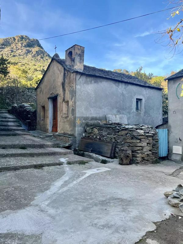 Appartement - 78 m² - 6 pièces