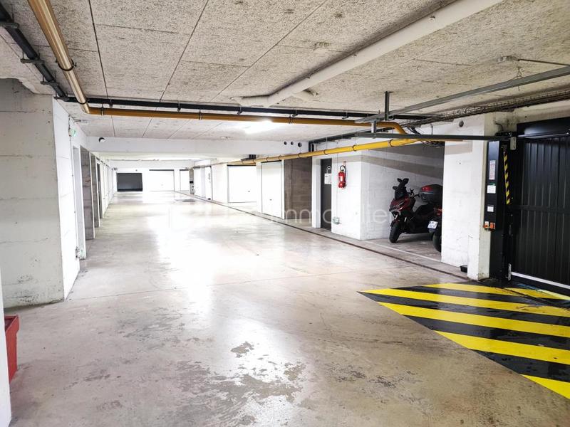 Studio - 25 m² - 1 pièce