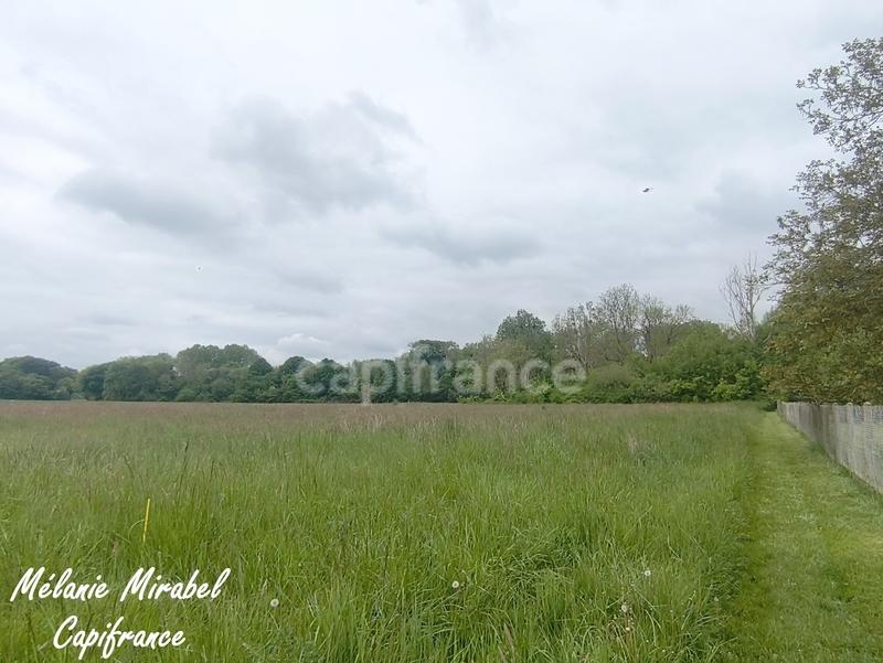 Terrain constructible - 1 115 m²