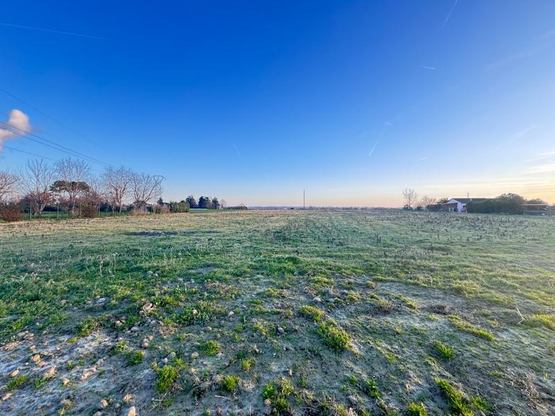 Terrain constructible - 9 000 m²