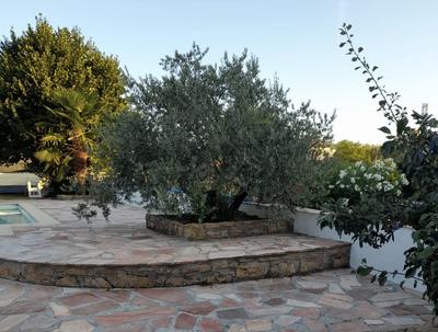 Maison - 230 m² - 7 pièces