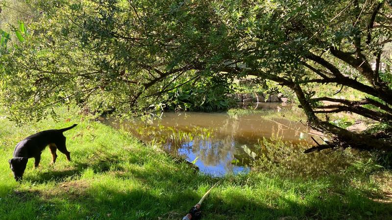 Châlet - 120 m² - 5 pièces