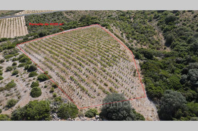 Terrain - 4 325 m²