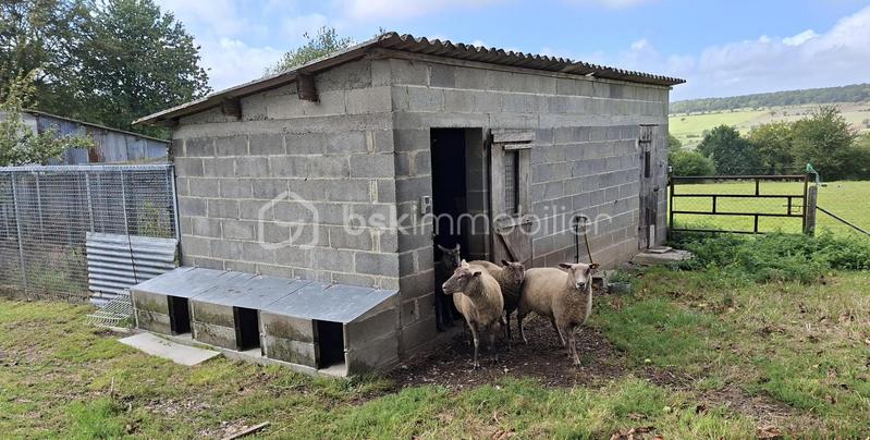 Maison en pierre - 158 m² - 7 pièces