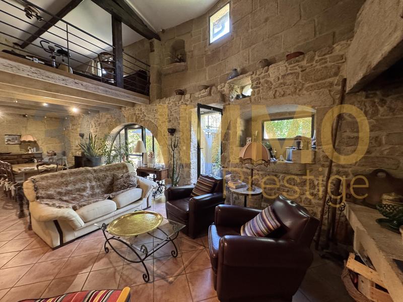 Moulin - 182 m² - 9 pièces