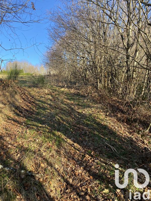 Maison de campagne - 70 m² - 5 pièces