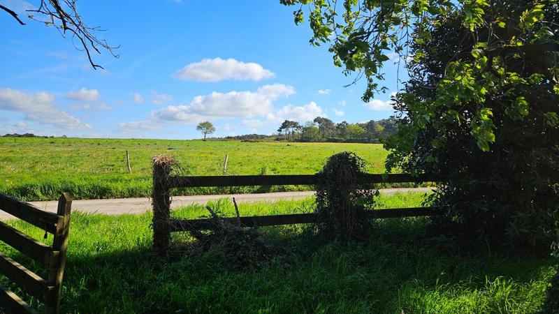 Propriété - 170 m² - 5 pièces