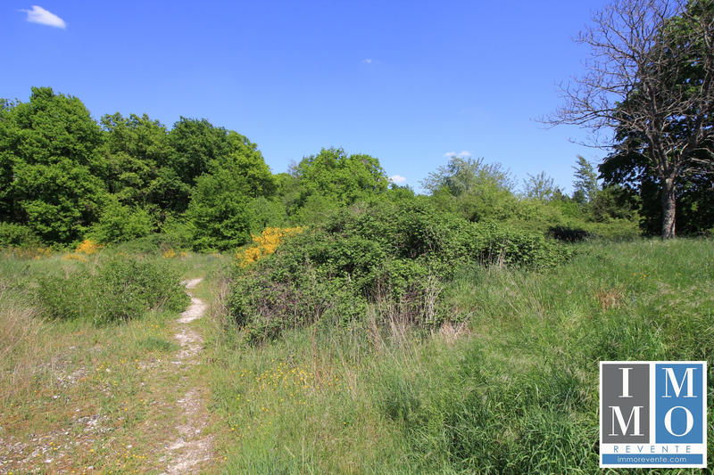 Terrain - 24 965 m²