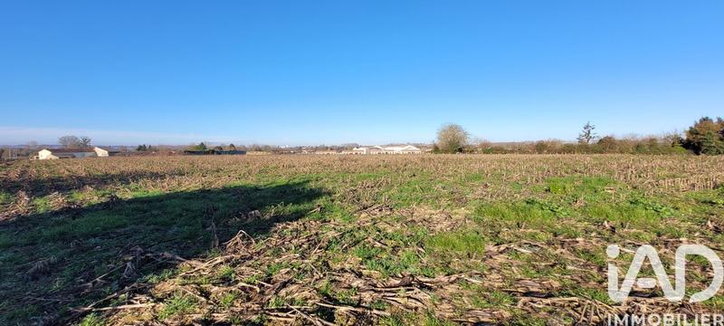 Terrain - 11 924 m²