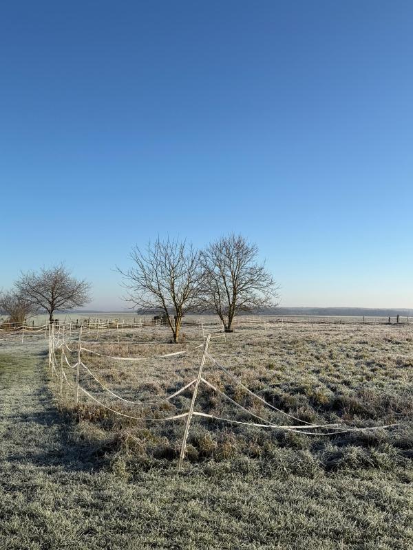 Grange - 120 m² - 1 pièce