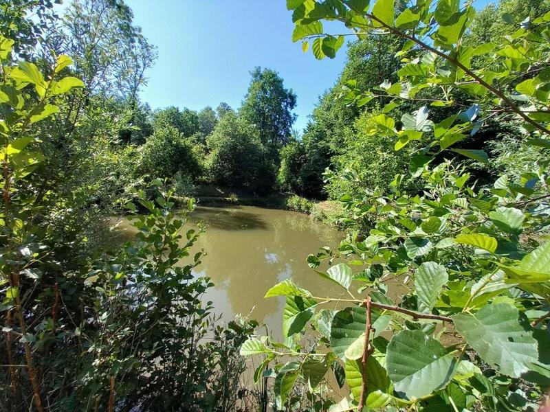 Terrain de loisirs - 2 669 m²