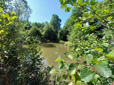 Terrain de loisirs - 2 669 m²