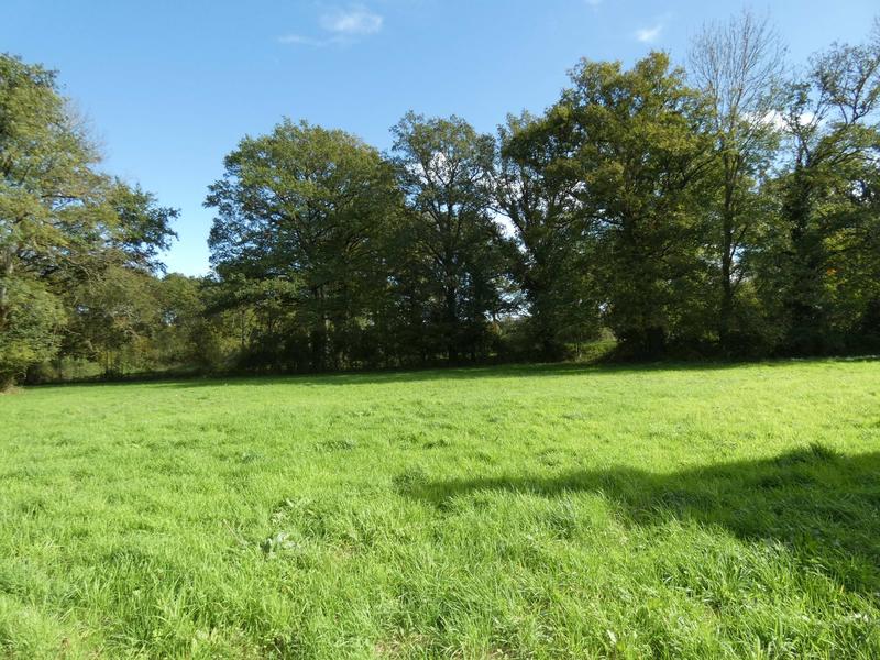 Maison - 147 m² - 6 pièces