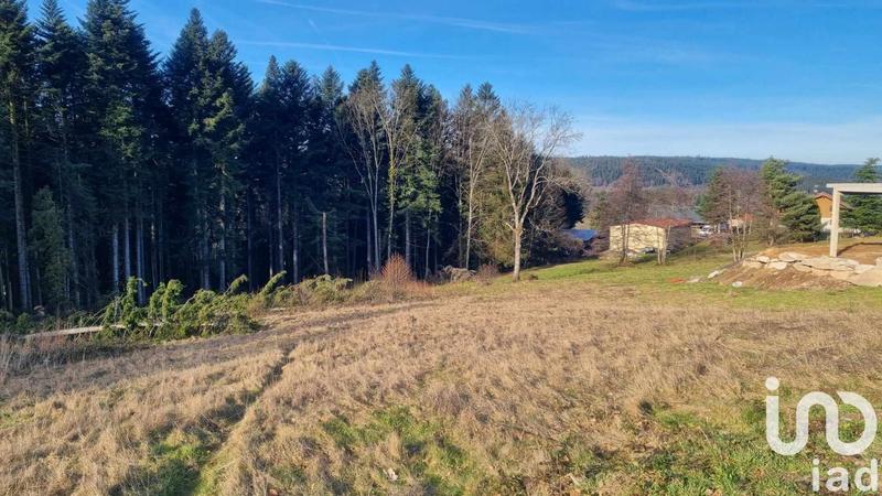 Terrain - 3 195 m²