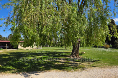 Maison - 220 m² - 4 pièces