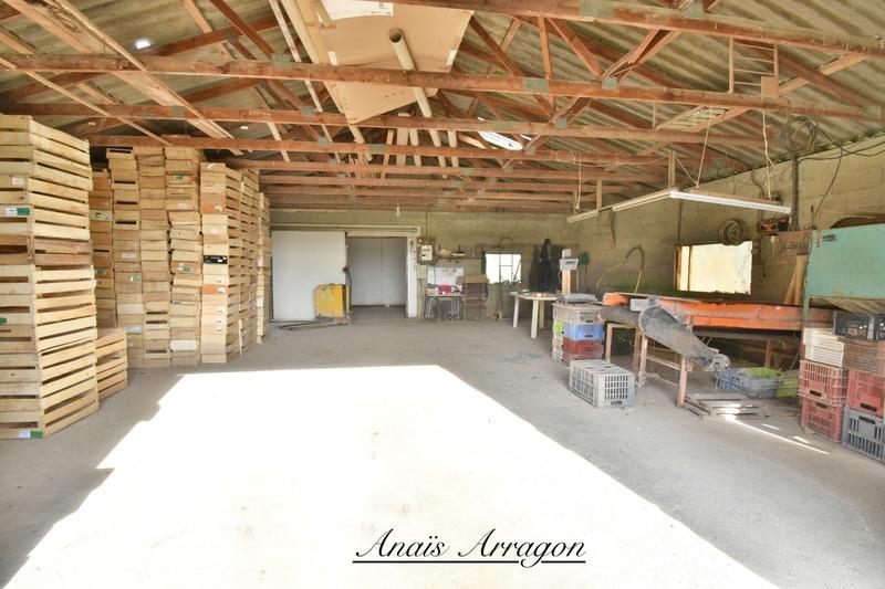 Propriété - 115 m² - 4 pièces