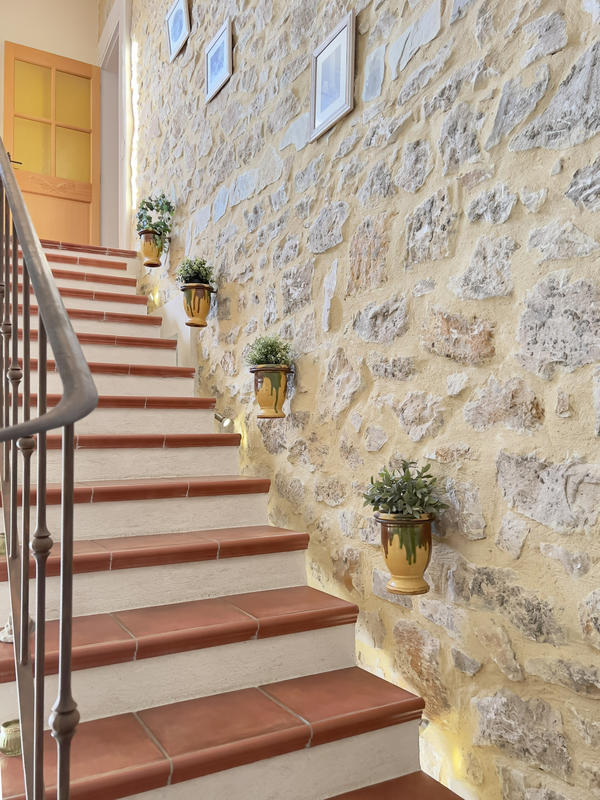 Mas - 250 m² - 7 pièces