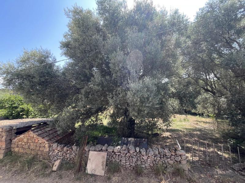 Maison de village - 55 m² - 4 pièces