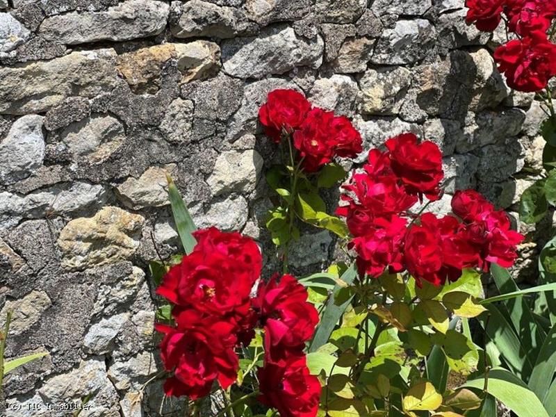 Maison - 137 m² - 4 pièces