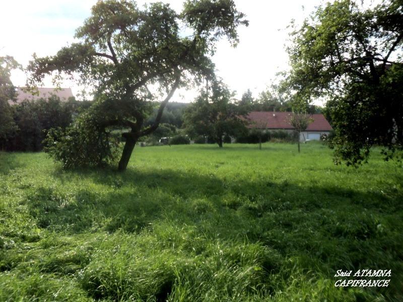 Terrain constructible - 850 m²