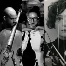 Bruno Ducret Trio - Catastrophes