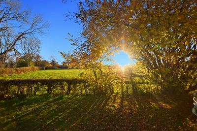 Longère - 136 m² - 4 pièces