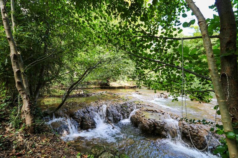 Demeure - 480 m² - 15 pièces