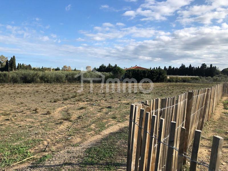 Terrain industriel - 6 686 m²