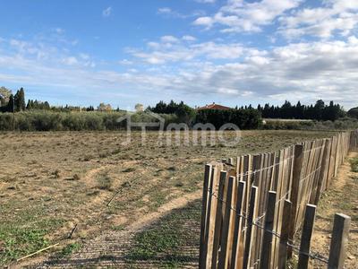 Terrain industriel - 6 686 m²