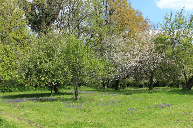 Maison - 43 m² - 2 pièces