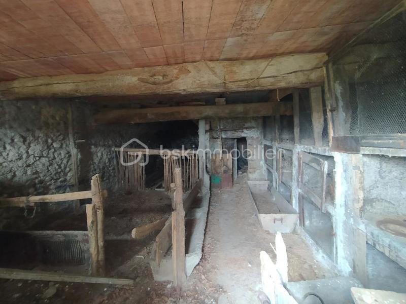 Ferme - 120 m² - 5 pièces