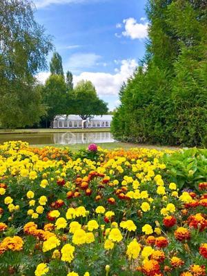 Maison - 380 m² - 4 pièces