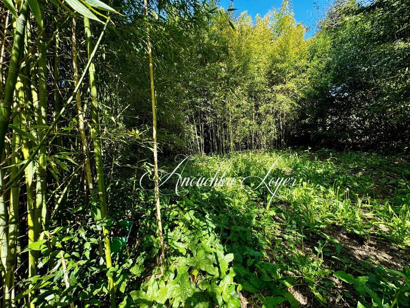 Maison de ville - 235 m² - 7 pièces