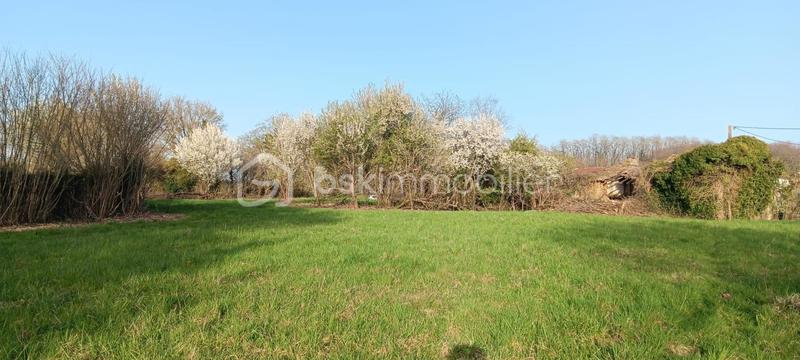 Terrain - 2 488 m²
