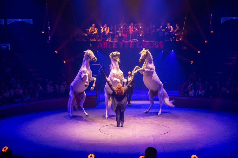 Dîner signature au cirque Arlette Gruss