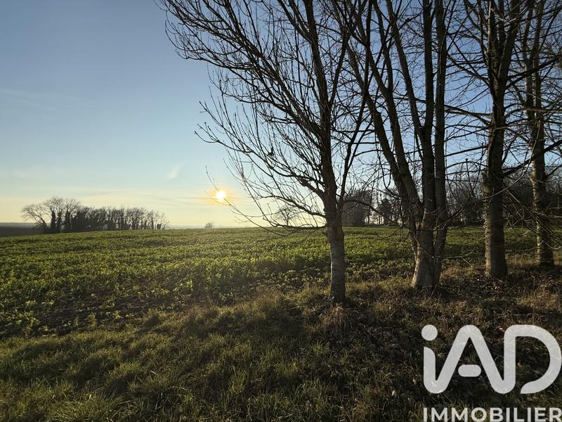 Maison - 300 m² - 10 pièces