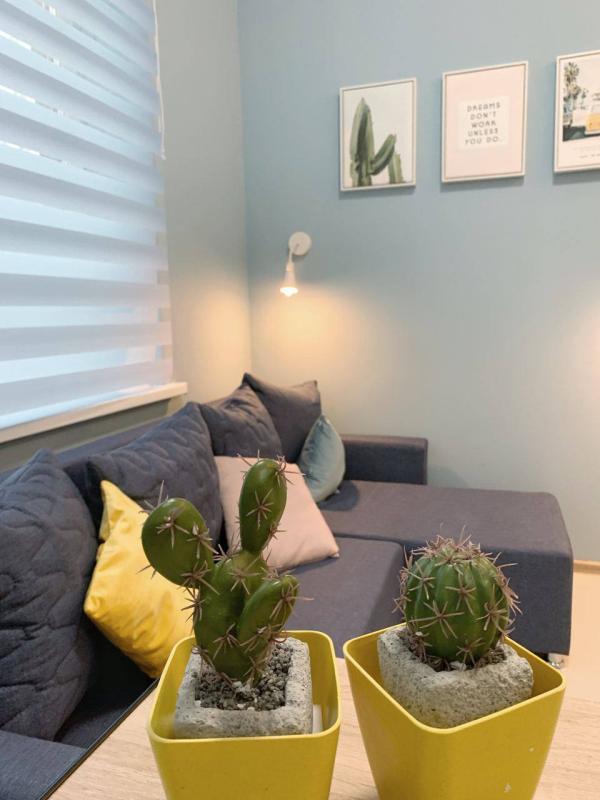 Studio - 15 m² - 1 pièce