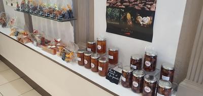 Appartement - 90 m² - 2 pièces