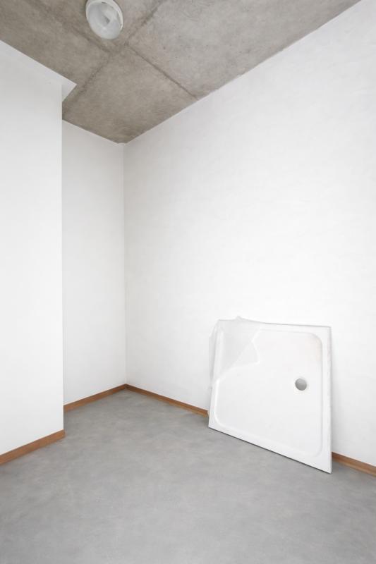 Loft - 55 m² - 2 pièces