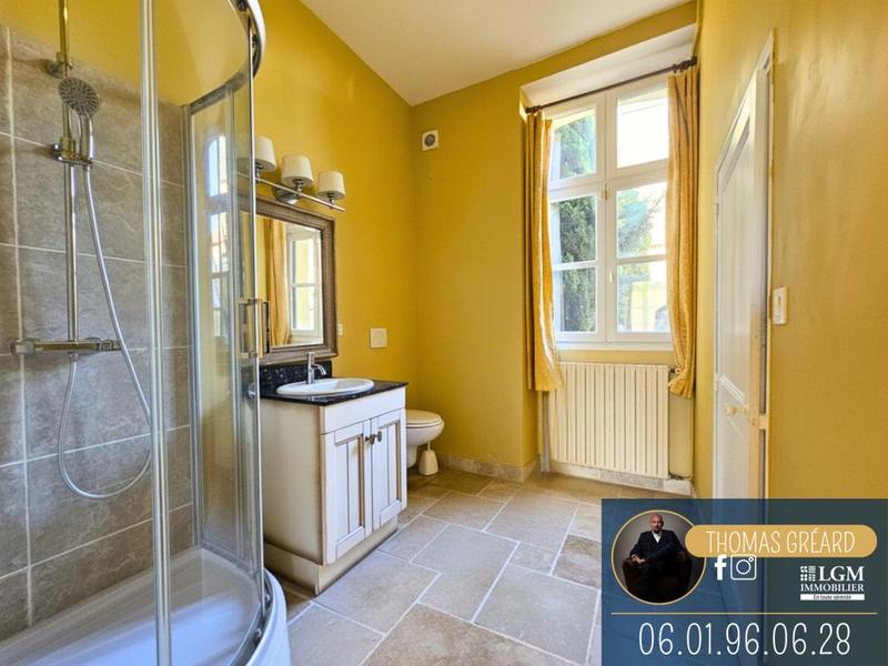 Château - 265 m² - 6 pièces