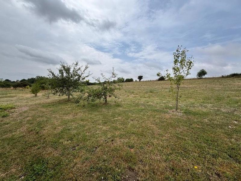 Maison - 195 m² - 5 pièces