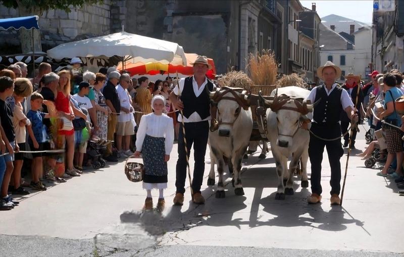 Immeuble - 616 m² - 15 pièces