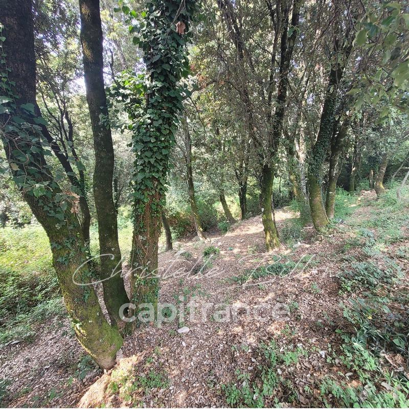 Terrain constructible - 5 784 m²