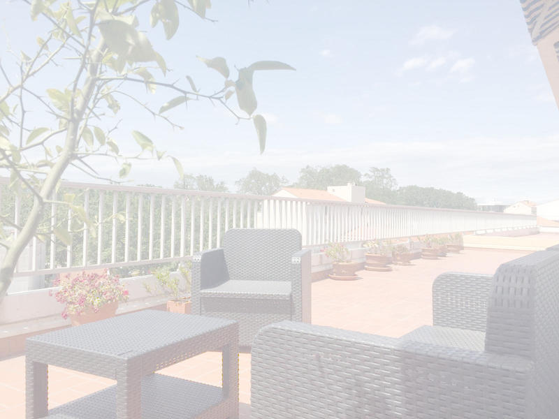 Appartement - 260 m² - 7 pièces