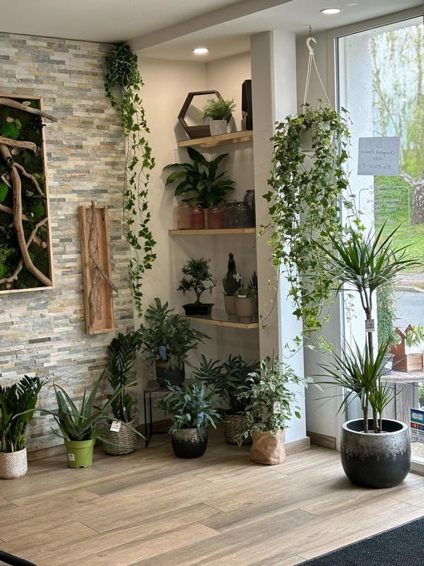 Local commercial - 85 m² - 2 pièces