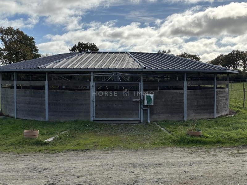 Maison de domaine équestre - 110 m² - 6 pièces