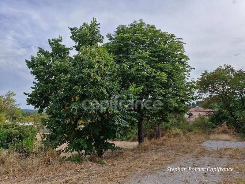 Maison - 119 m² - 5 pièces