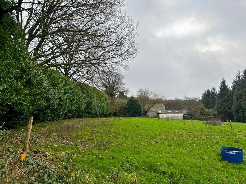 Maison en pierre - 170 m² - 5 pièces